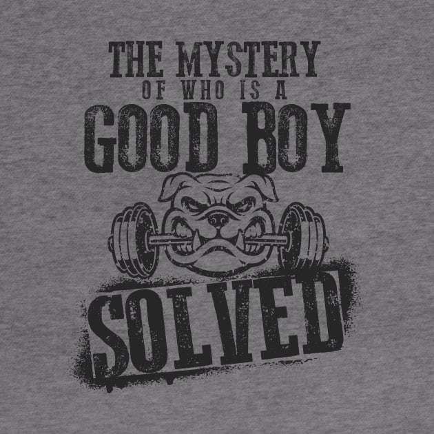 The Mystery of Who is a Good Boy Solved by happiBod